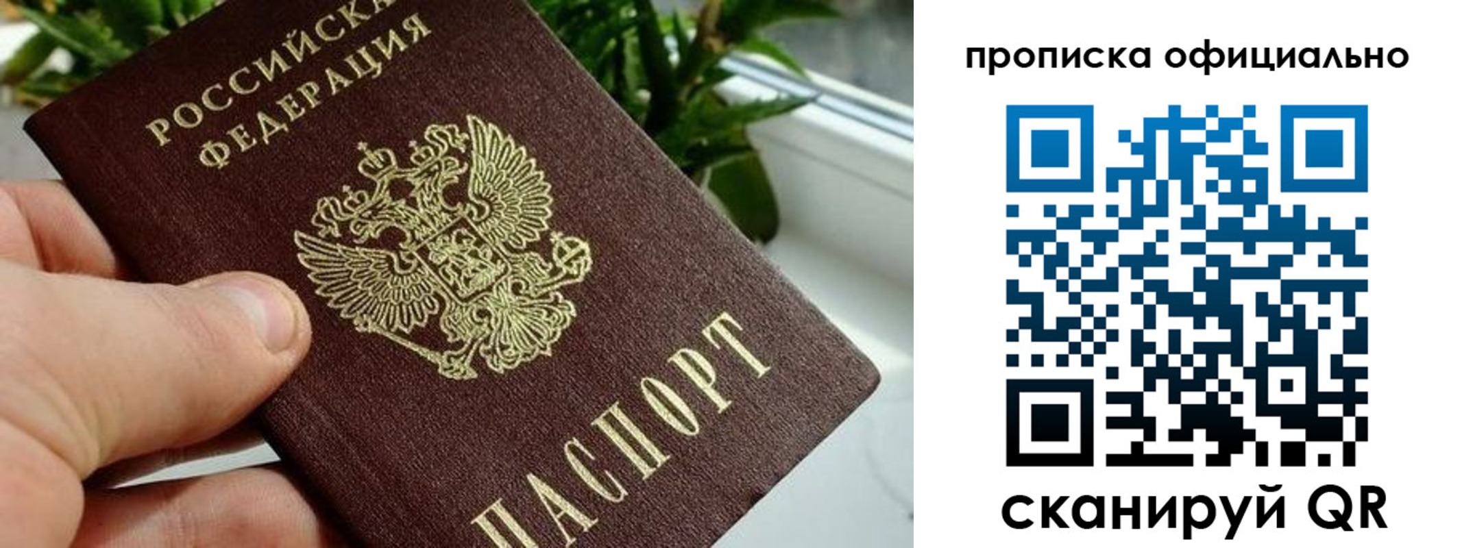 прописка поиск в Шатуре